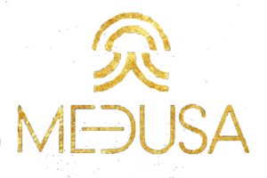 MEDUSA INV 2021/2022